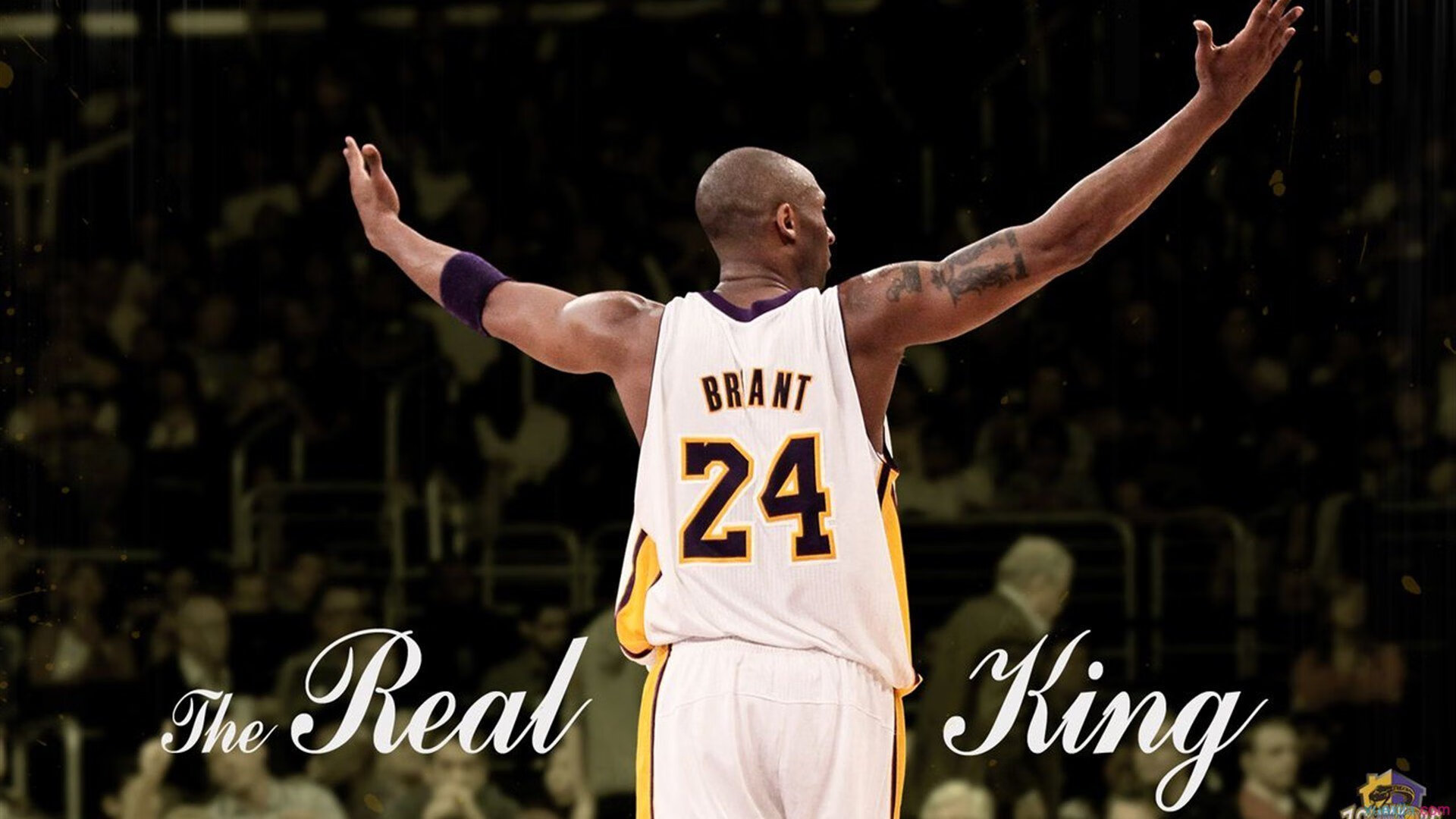 圭亚那举办国际运动与文化融合展览，圭亚那介绍