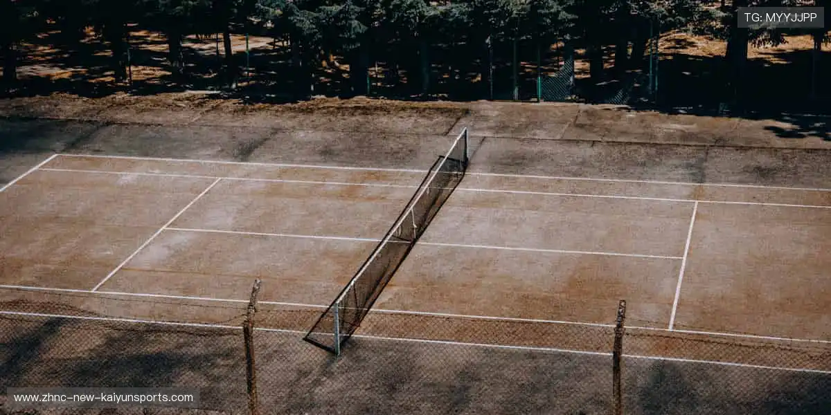 🏀高清直播，每一秒都让你心跳加速！